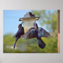 Suche nach graben poster Schwarz