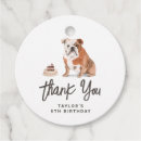 Recherche de english bulldog Merci