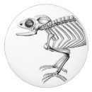 Recherche de lézard boutons et poignées de porte Reptile