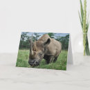 Suche nach rhino karten Kenya