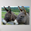 Recherche de mulets posters Âne