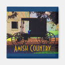 Suche nach buggy magnete Pennsylvania