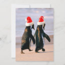 Recherche de pingouin noël cartes Faune