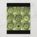 Suche nach alchemie poster Wicca