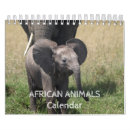 Suche nach tier kalender Zebra