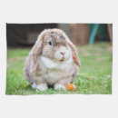 Suche nach osterhasen geschirr tücher Ostern