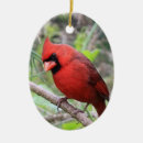 Suche nach weihnachtsvögel ornamente Kardinal
