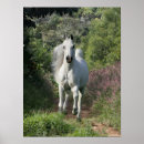 Recherche de animal imaginaire posters Fleurs