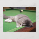 Suche nach billardtisch postkarten Fotografie