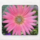 Recherche de gerbera rose tapis souris Marguerie