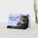 Suche nach fühlen sie sich bald besser karten Katzen