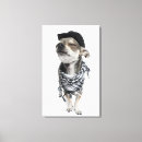 Suche nach chihuahua leinwandbilder Fotografie