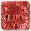 Suche nach zelle untersetzer Abstrakt