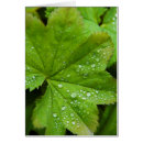 Recherche de gouttelette cartes postales Vert