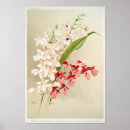 Suche nach exotische orchideen poster Botanisch