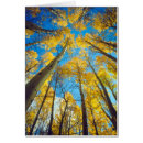 Recherche de couleurs automnales cartes postales America