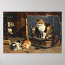 Suche nach waldkatze poster Begleiter