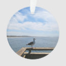 Recherche de mouettes ornements Nature