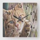 Suche nach zaun wanduhren Katze