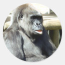 Suche nach gorillas aufkleber Primat