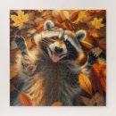 Suche nach waschbär puzzle Spaß