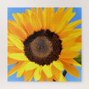 Suche nach sonne blume puzzle Himmel