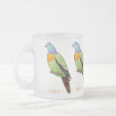 Recherche de pigeons tasses Colombe