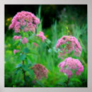 Suche nach kraut poster Mother