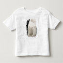 Recherche de babouins tshirts Singe