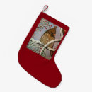 Recherche de cardinal rouge chaussette de noël Nature