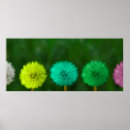 Suche nach mehrfarbig poster Rot