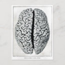 Suche nach vintage medizin postkarten Anatomie
