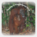 Suche nach borneo aufkleber Tierwelt