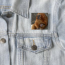 Recherche de lion de bébé badges Singe