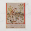 Recherche de cueillette cartes postales Italien