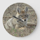 Recherche de coyote horloges Pour tous