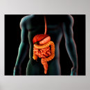 Suche nach torso poster Nah up