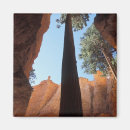 Suche nach utah magnete Reise
