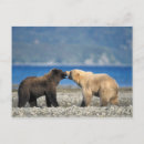 Recherche de parc national katmai cartes postales Faune