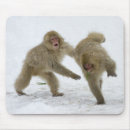 Recherche de petit singe tapis souris Animal