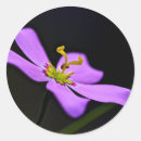 Recherche de marais autocollants Usa