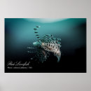 Suche nach fish kunst Ozean
