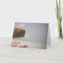 Recherche de nourriture douce cartes postales Plan rapproché