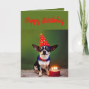 Suche nach niedlicher chihuahua karten Geburtskarte