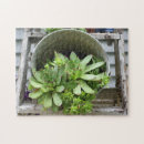 Recherche de succulent puzzles Nature