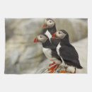 Suche nach puffin geschirr tücher Atlantischer puffsack