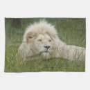 Suche nach leo geschirr tücher Große katze