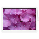Suche nach lila hydrangea postkarten Blüte