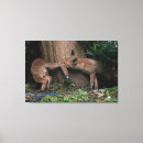 Suche nach niedlicher fuchs leinwandbilder Tierwelt