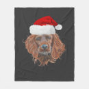 Suche nach irish setter decken Tier